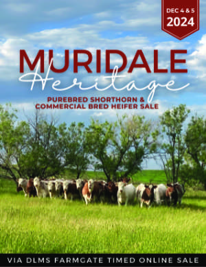 2024 Muridale Heritage Purebred Shorthorn & Commercial Bred Heifer Sale catalogue